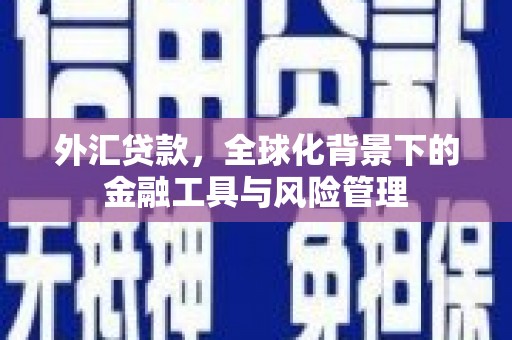 泗水外汇贷款，全球化背景下的金融工具与风险管理